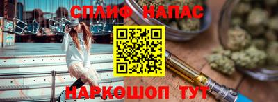 дживик Камень-на-Оби